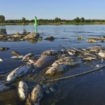 Poland: ‘Huge’ amounts of chemical waste dumped into river